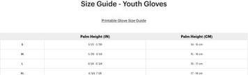 Image du produit 100% Gants de cyclisme Brisker (M)