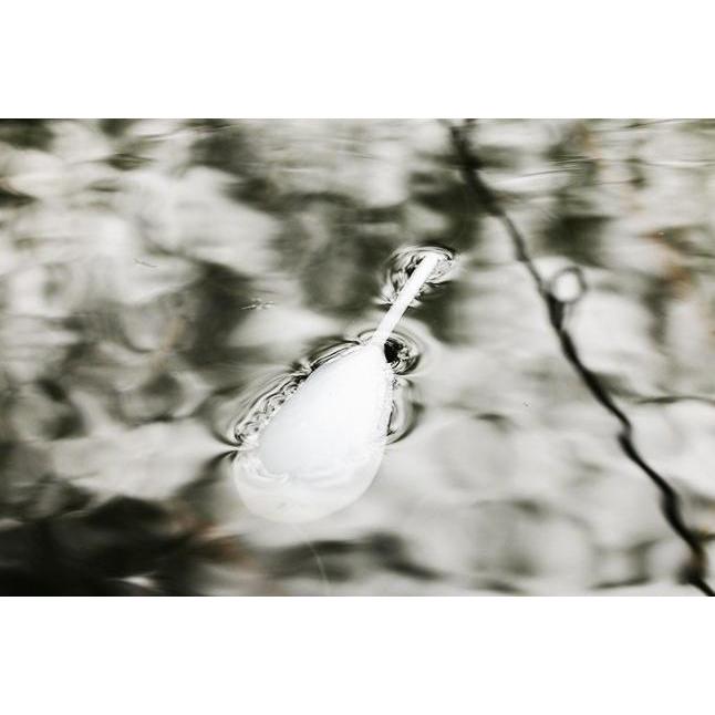 Thumbnail - Korda, Angelköder