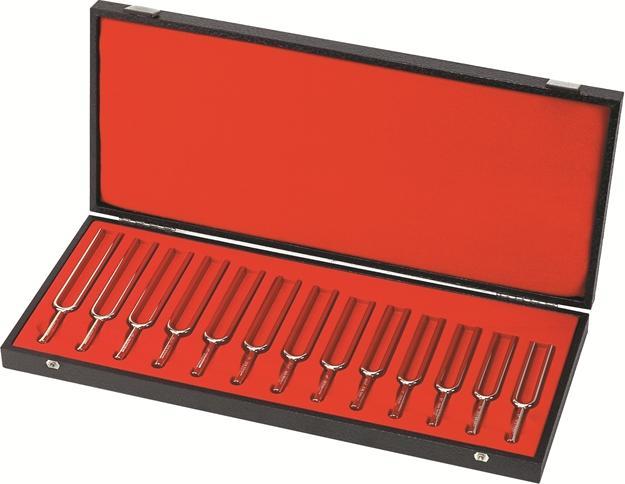 Wittner Stimmgabelsatz chromatisch 13 Stück im Koffer
