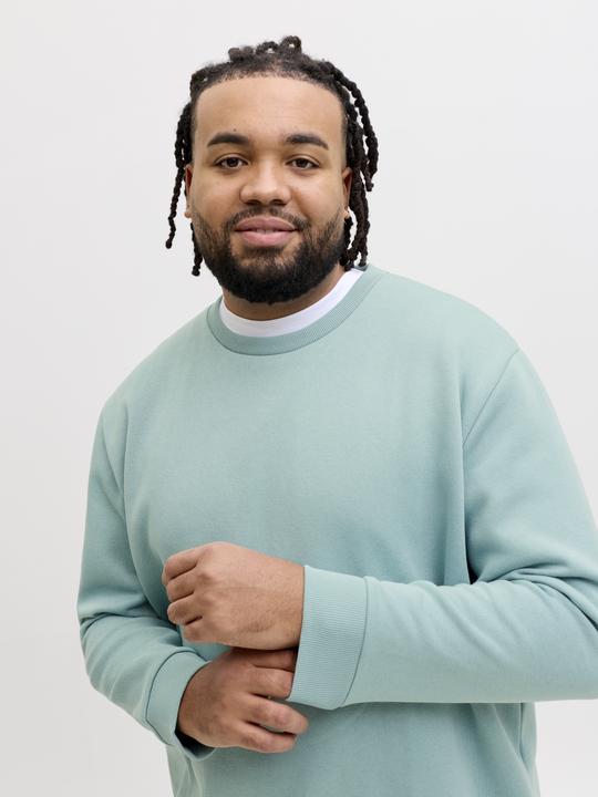 Produktbild Jack & Jones Jjebradley Sweat Crew Noos Pls