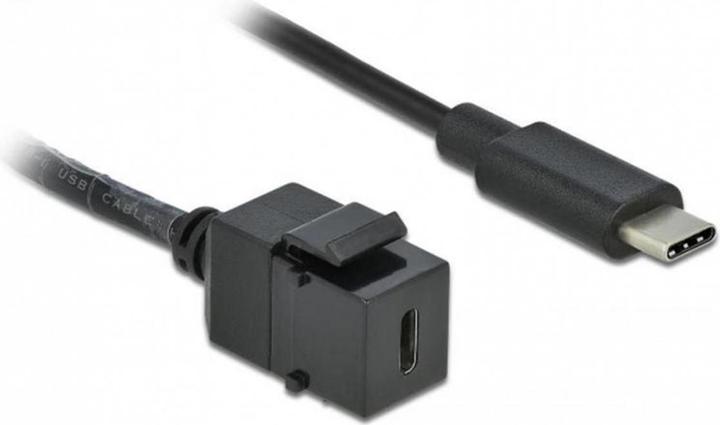 Image du produit Delock Module Keystone (0.25 m, USB 3.1)