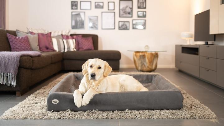 Immagine prodotto Sabro Letto per cani Kudde Suede Look (Cane)