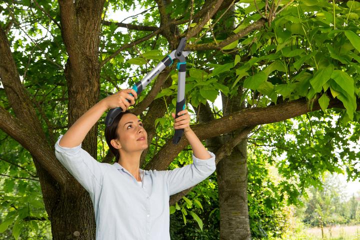 Image du produit Gardena Cisaille de branchement EasyCut 500B
