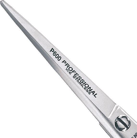 Image du produit Rose line Ciseaux à cheveux Professional (15.24 cm)