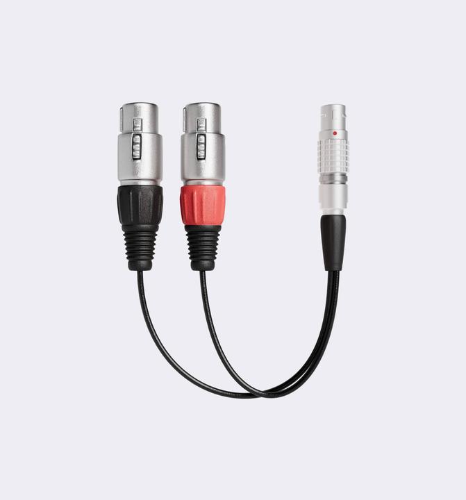 Atomos ATOMCAB017 (XLR)