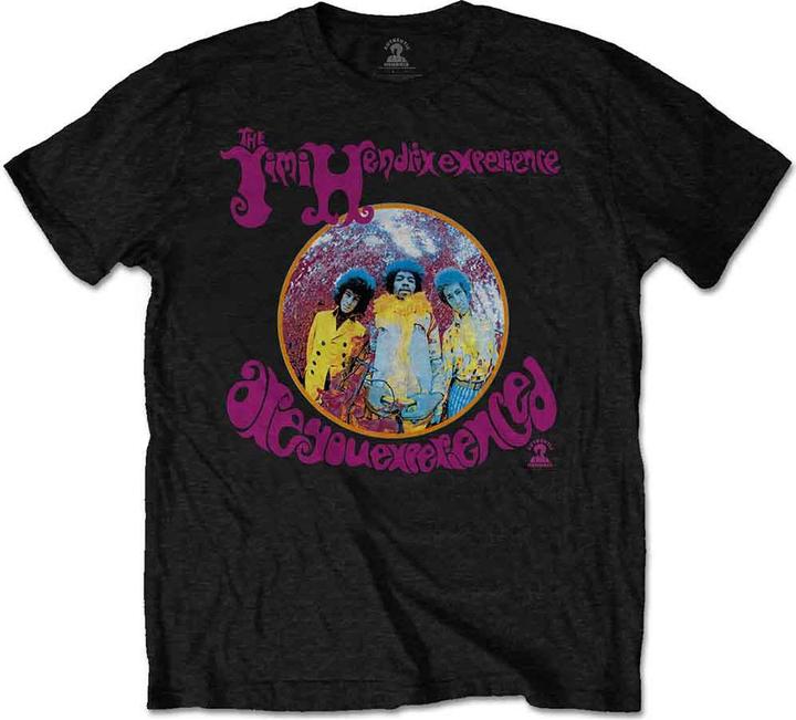 Jimi Hendrix Are You Experienced