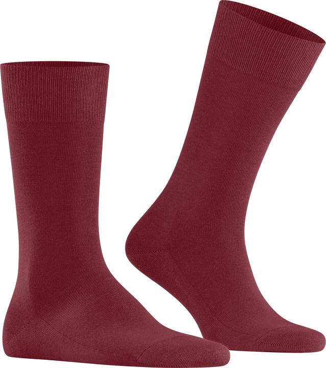 Produktbild Falke Family Socken (Einzelpack, 43 - 46)