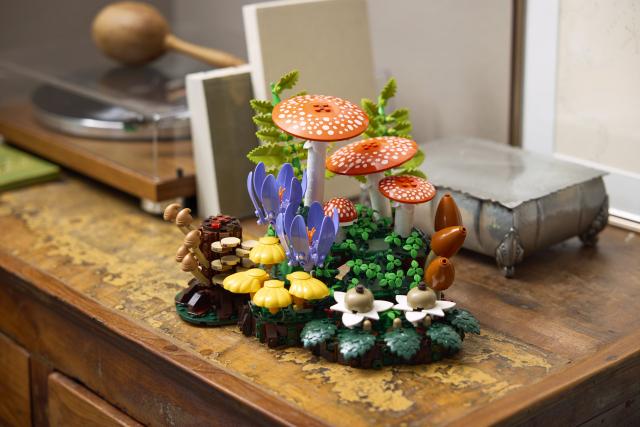 Produktbild LEGO 11505 Waldpilze (LEGO Botanicals)