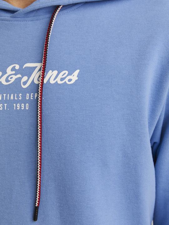 Produktbild Jack & Jones Jjhenry Sweat Hood (L)