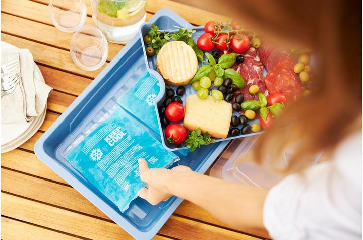 Actual product image Rotho Partybutler COOL & FRESH (17.63 l)