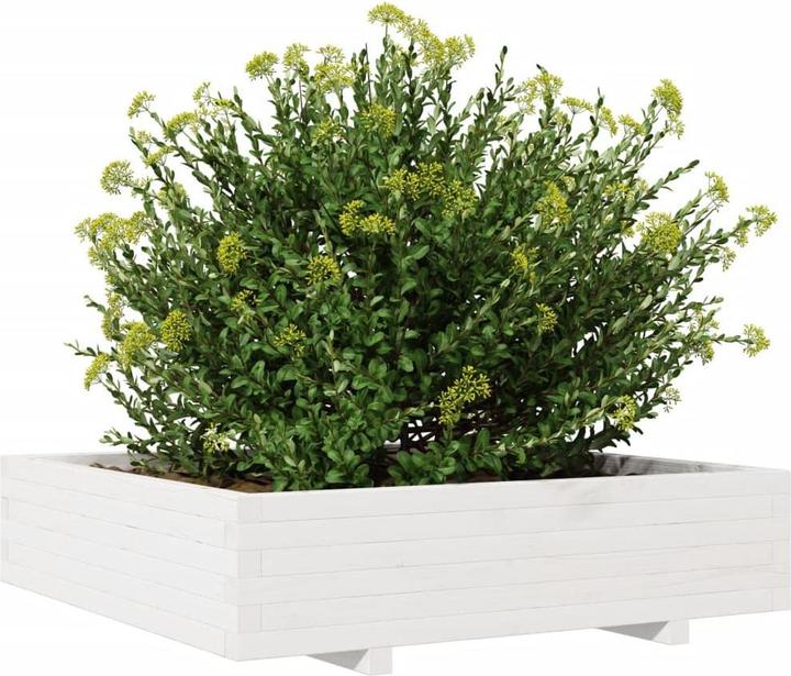 Produktbild vidaXL Pflanzgefäss