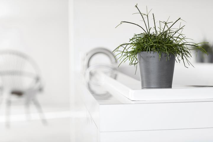 Produktbild Ecopots Amsterdam Mini (8 cm)