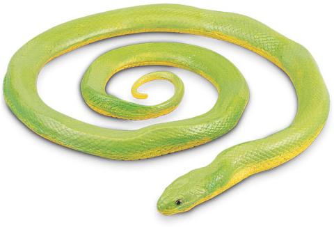 Multicolore