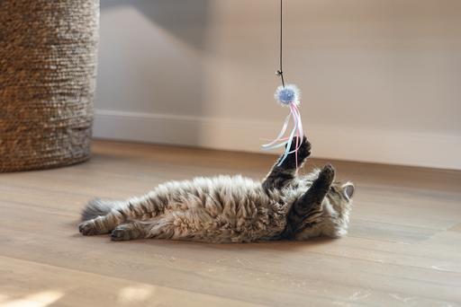Produktbild Beeztees Katzenangel Ball mit Bändern