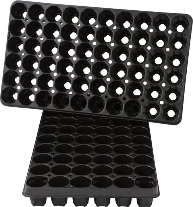 Siena Garden incubator