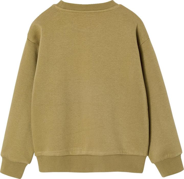 Produktbild Vertbaudet Jungen Sweatshirt mit Print vorn (92)