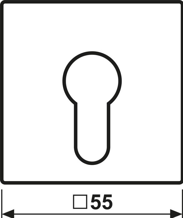 Actual product image JUNG Key/Abd Steps A anth mt A525PLANM