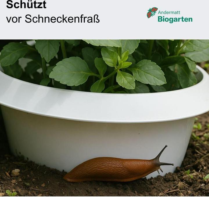 Image du produit Andermatt Biogarten Stop-limaces