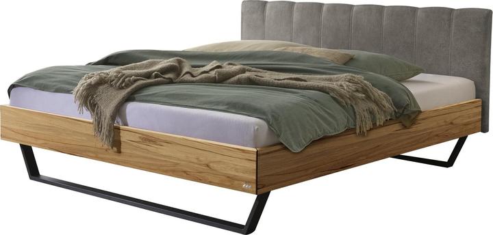 Anthracite, Buffalo grey, Hêtre sauvage naturel