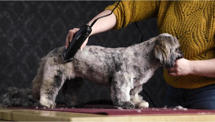 Produktbild Moser max45 (Hund)