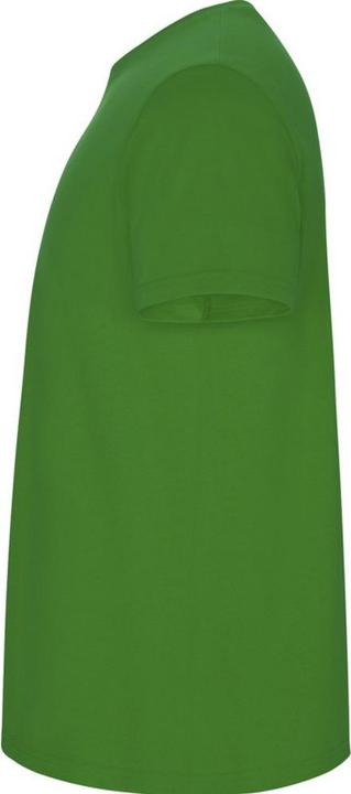 Immagine prodotto Alpinia Stafford Maglietta Maniche Corte Bambini (146, 152)