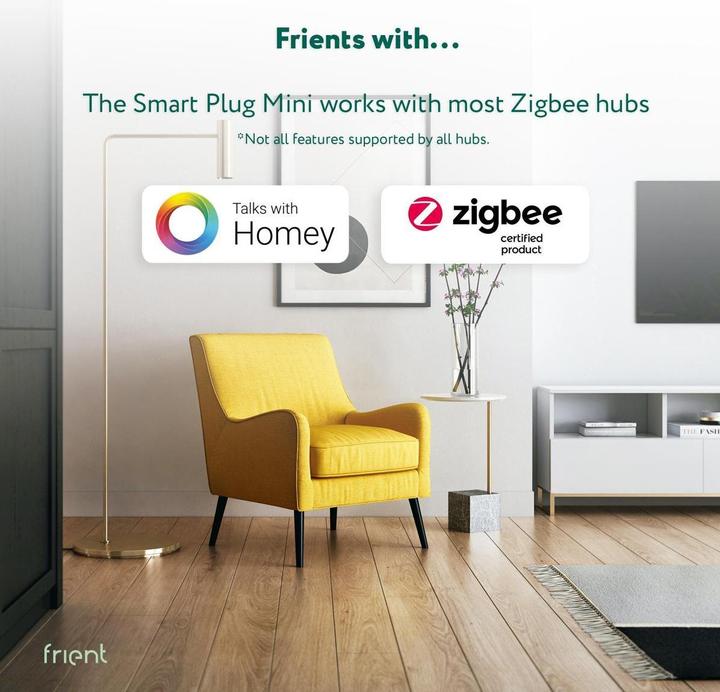 Produktbild Frient FRIZSPLZB-141 - Smart Plug Mini 2 (Type F) - Schuko (Zigbee)