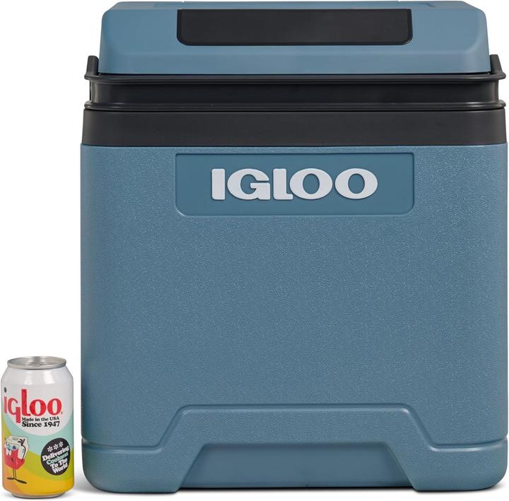 Actual product image Igloo IE42 DCAC (42 l)