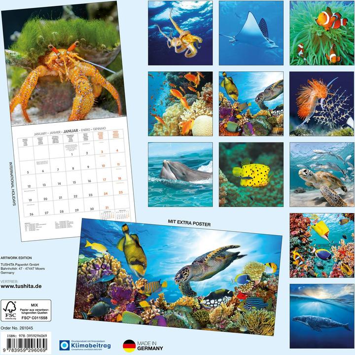 Produktbild Meerestiere 2026 (30 x 30 cm, Harter Einband, Deutsch, Spanisch, Französisch, Tschechisch, Polnisch, Niederländisch, Italienisch, Englisch)