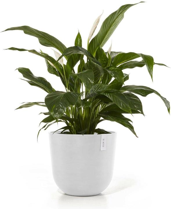 Immagine prodotto Ecopots Oslo