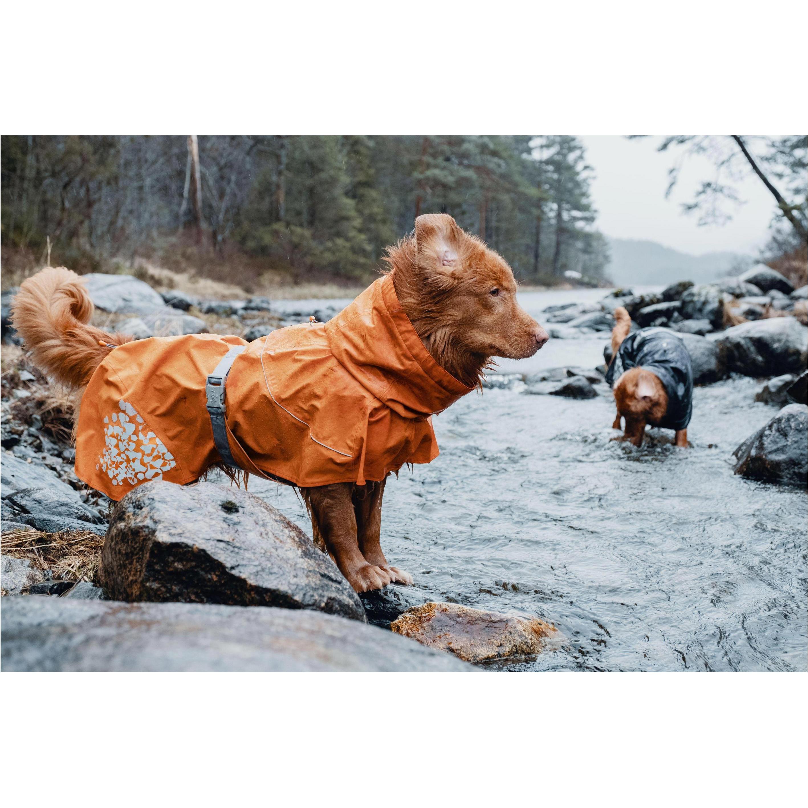 Thumbnail - Hurtta Monsoon Regenmantel orange, Hundehütte