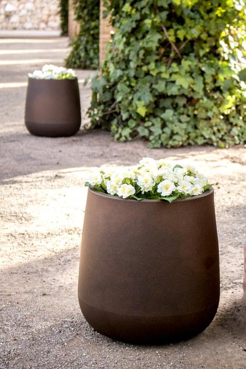 Actual product image Newgarden Camelia 40 (39 cm)