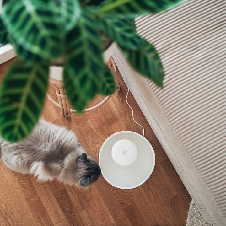 Produktbild LucyBalu TREVI Trinkbrunnen (2.80 l)