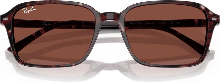 Image du produit Ray Ban Raimond