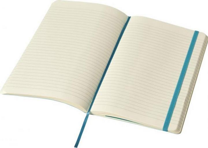 Actual product image Moleskine Notebook Classic L (Lined)