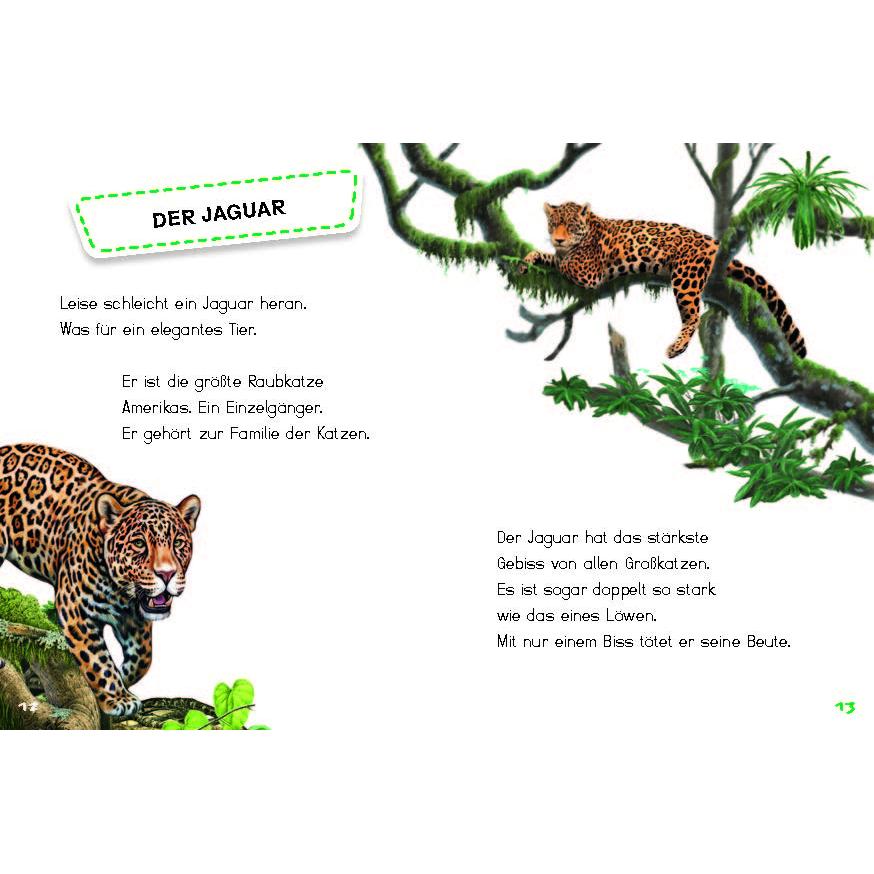 Thumbnail - Bunter Regenwald, Kinderbücher von Ferruccio Cucchiarini, Jana Ullke