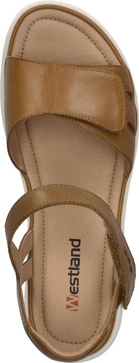 Actual product image Westland 17903-409 (40)