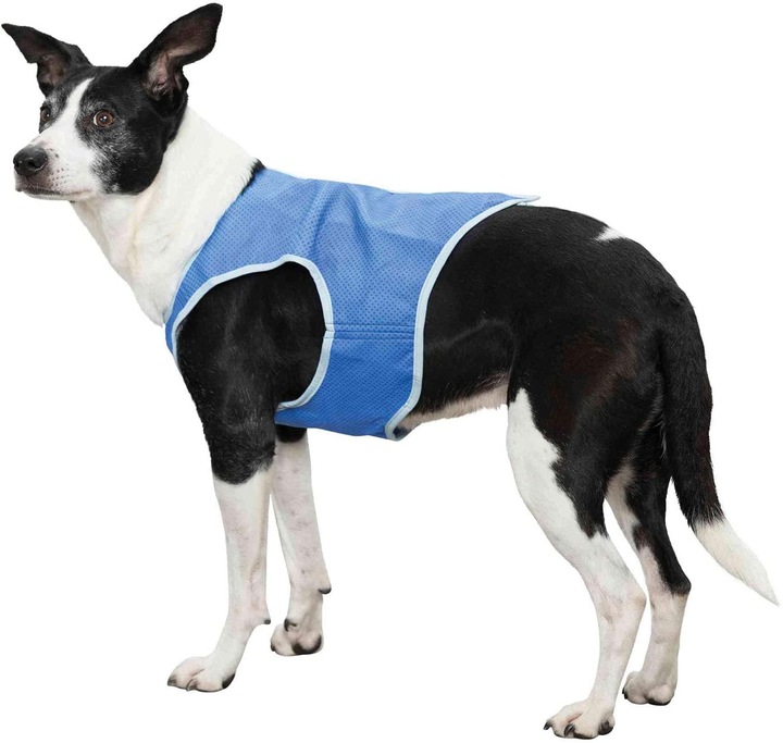 Immagine prodotto Trixie Cestino per bicicletta (Cane, Lavabile)