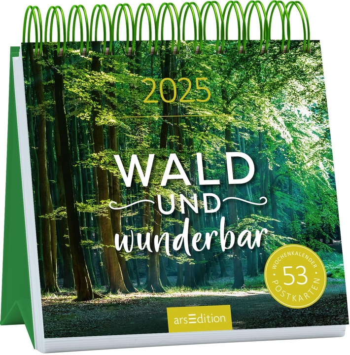 Actual product image Wald und wunderbar (17 x 17 cm, Soft cover, German)