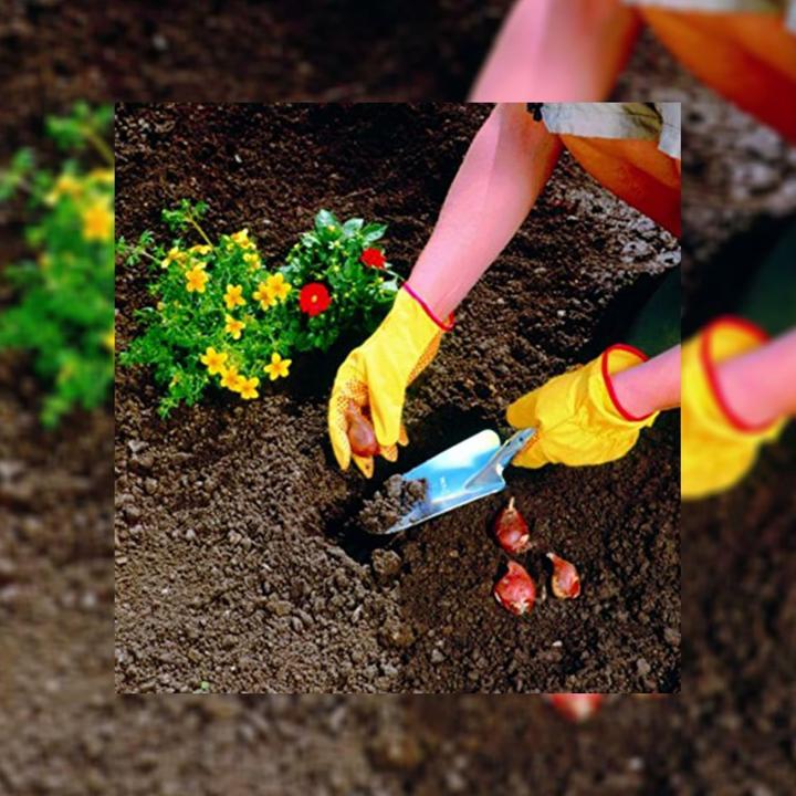 Produktbild Wolf-Garten LU-Z Blumenkelle