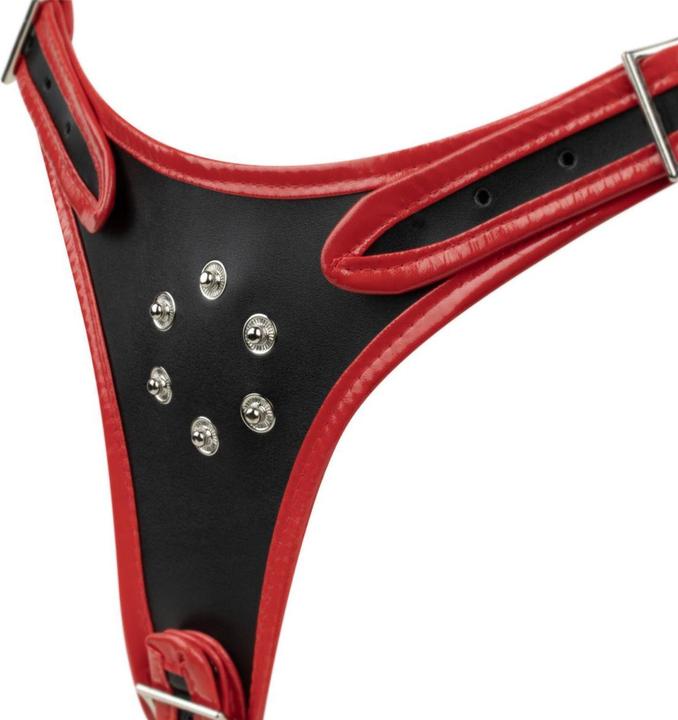 Productafbeelding Fetish Collection Triple Dildo StrapOn Harness