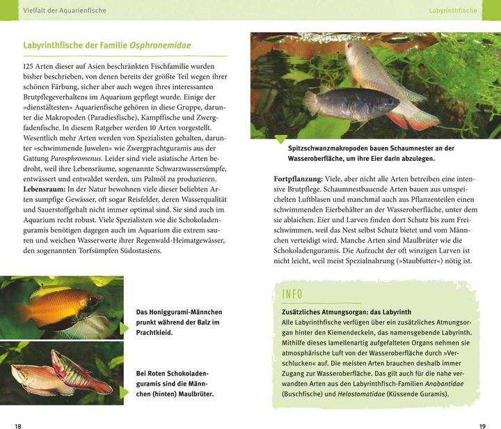 Actual product image Aquarienfische von A bis Z (German, Ulrich Schliewen, 2017)