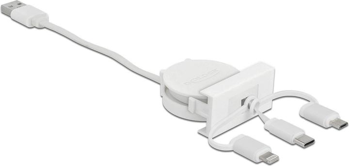 Actual product image Delock 3in1 (0.50 m, USB 2.0)