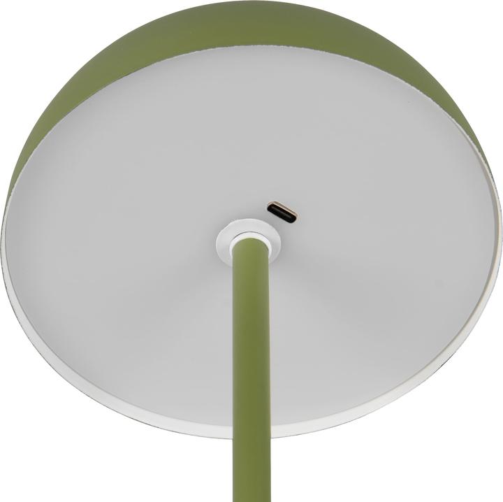 Immagine prodotto Reality LED-Akku-Tischleuchte MUNOZ, R54891115, 1,3W, 120lm, 3000K, grün (120 lm)