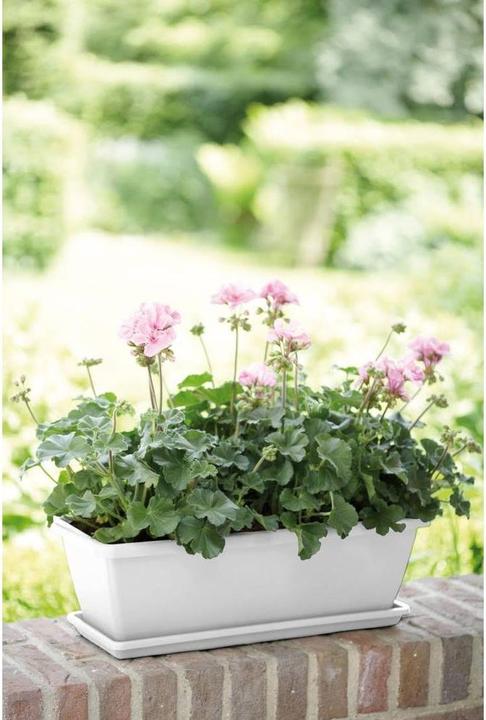 Actual product image Elho Barcelona (20 cm)