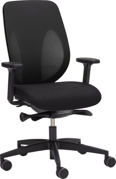 Giroflex 353 Net back