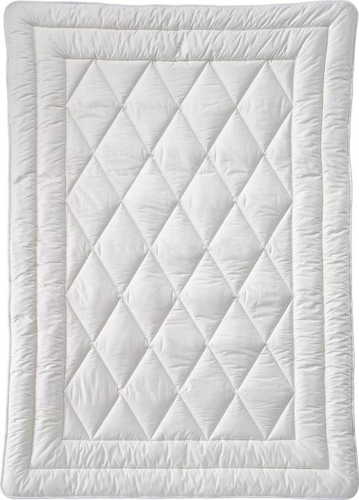 Produktbild Billerbeck 381 COSIDREAM® (1400 g, 135 x 200 cm)