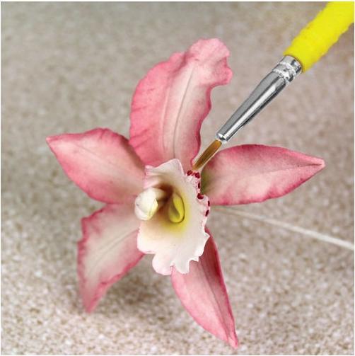 Produktbild PME Fine Craft Brushes (5 Stk.)