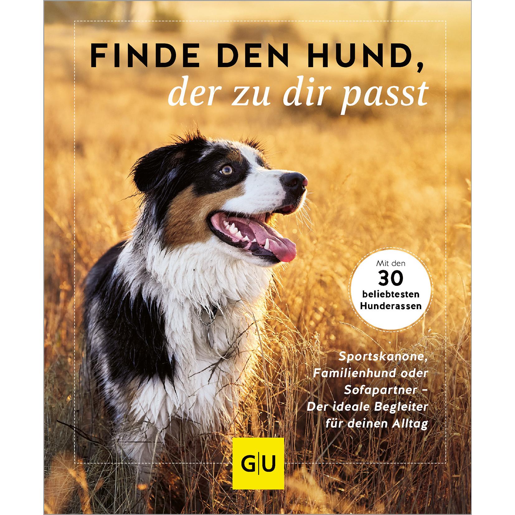 Finde den Hund, der zu dir passt, Ratgeber