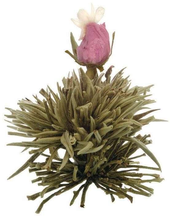 Image du produit Creano Erblühtee (0.50 l)