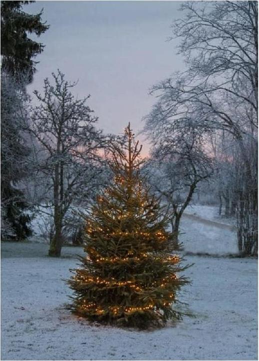 Actual product image Star Trading Garden lights (24 m)